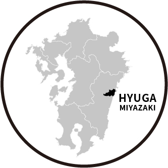 宮崎県日向市産イメージ