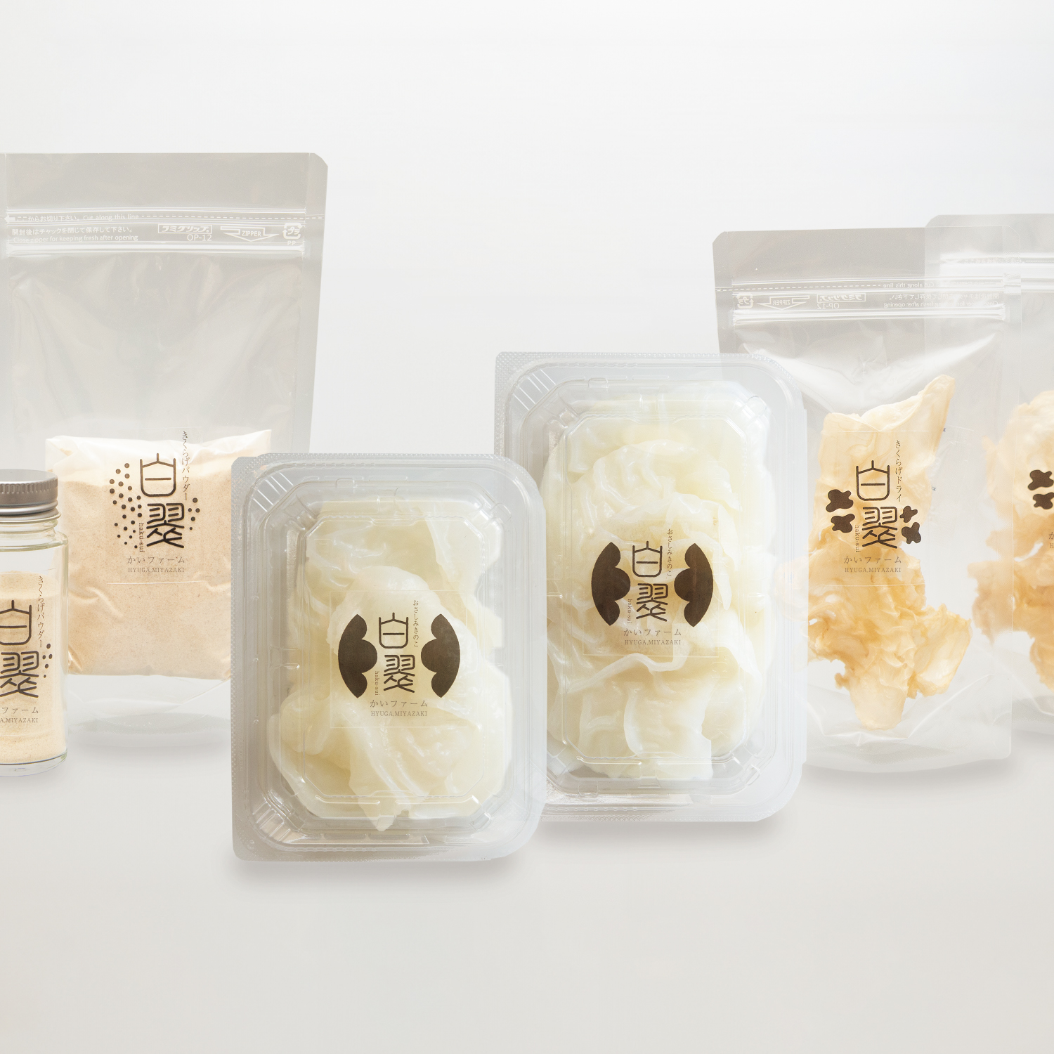 白いきくらげ「白翠」 白いきくらげ「白翠」